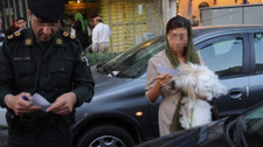 Walking Dogs in Public Areas is a Crime
