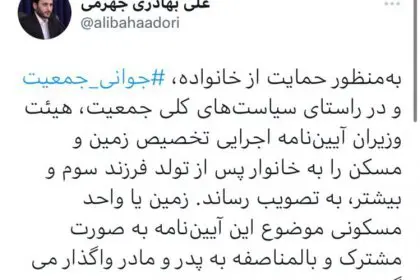 Government Spokesperson: With the Third Child, You Get Land or a House on Installments