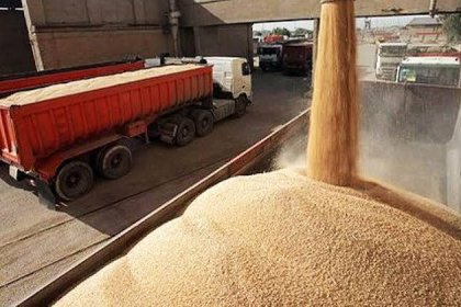 Russia Endangered Global Food Security