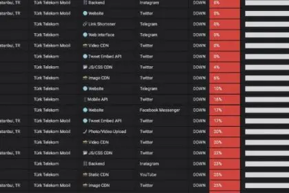 Disruption in Turkish Social Networks