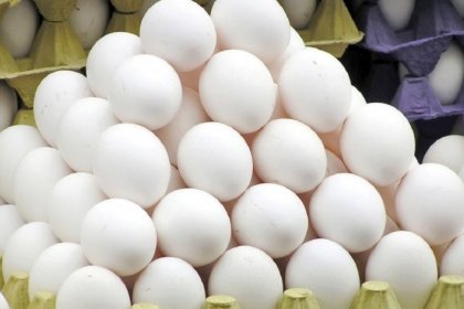 Increase in Per Capita Consumption of the Country's Cheapest Protein