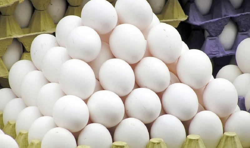 Increase in Per Capita Consumption of the Country's Cheapest Protein