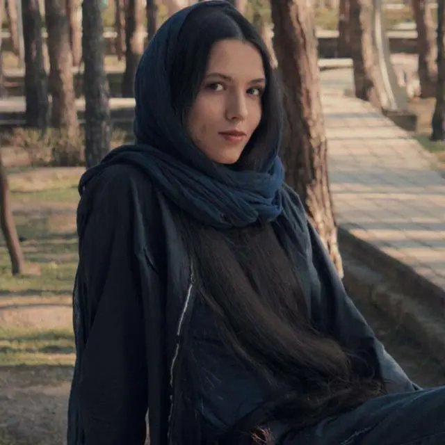 Fatemeh Ansari Remains in Custody