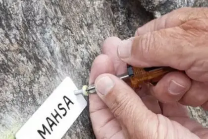strongNew Climbing Route in Lanzo Named Mahsa Amini strong