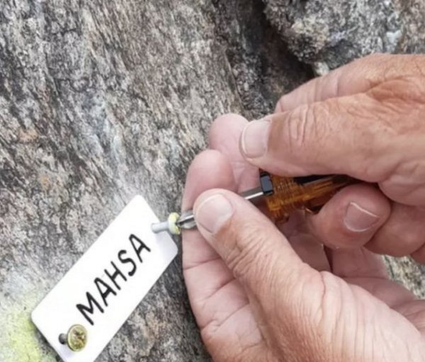 New Climbing Route in Lanzo Named Mahsa Amini