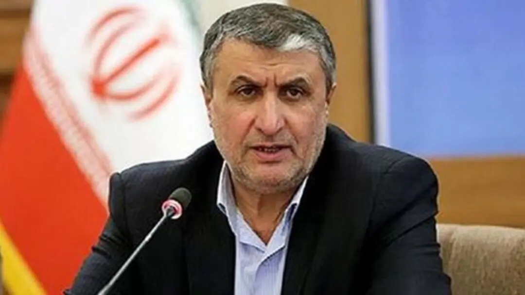 Head of Iran's Atomic Energy Organization Accuses IAEA of Leaking Confidential JCPOA Reports
