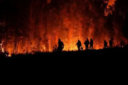 23 Dead in Chile Forest Fires