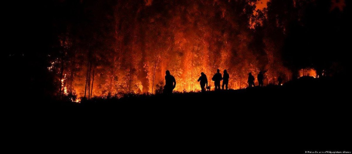 23 killed in forest fires in Chile