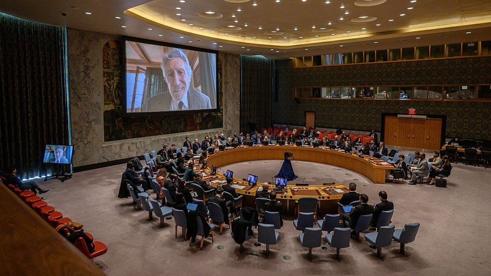 Roger Waters: Russian Military Invasion of Ukraine is Illegal in the UN Security Council