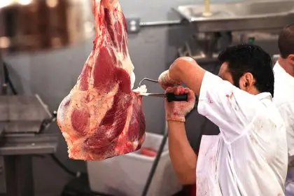 Criticism of Hamshahri Newspaper on Government: Meat Prices Rose Because Warnings Were Ignored