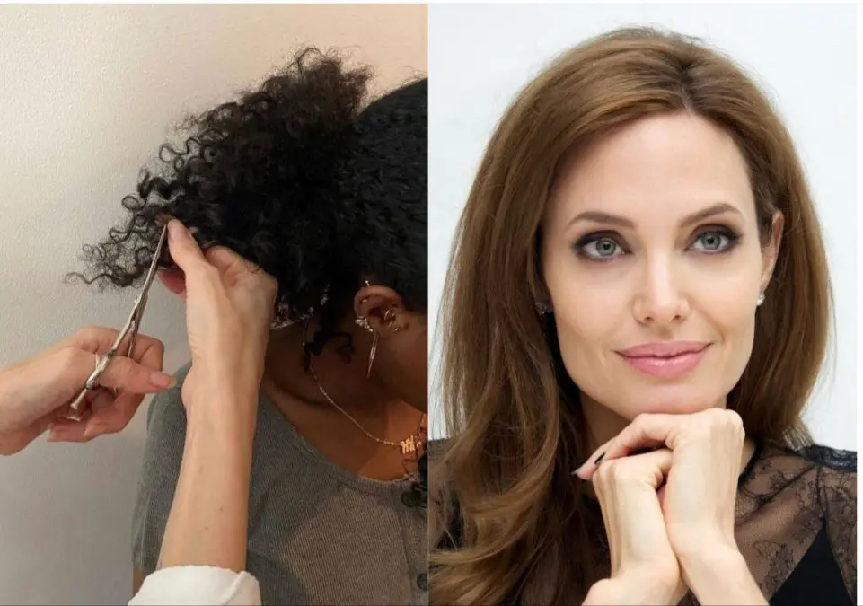 Angelina Jolie's Call for an Exhibition on Iran Protests: I Cut My Hair and My Family's