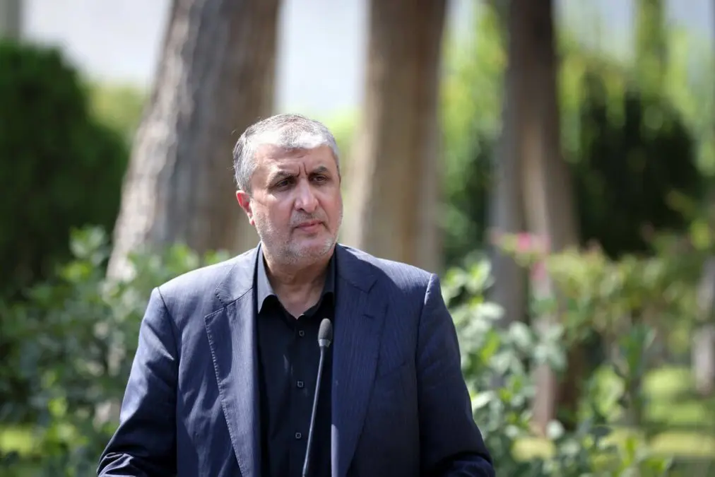 Head of Atomic Energy Organization: We Have Not Enriched Above 60%
