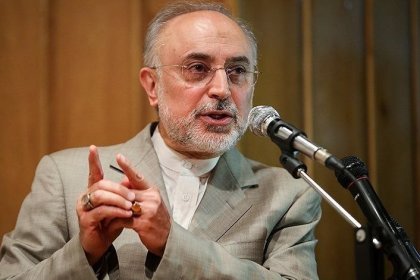 We should release Ali Akbar Salehi from his confinement with flexibility