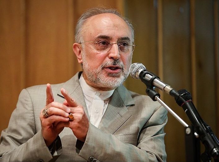 We should release Ali Akbar Salehi from his confinement with flexibility