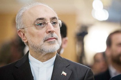 Ali Akbar Salehi does not grant citizenship to foreign elites in Iran