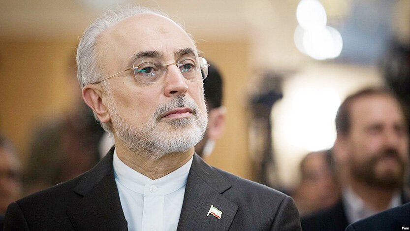 Ali Akbar Salehi does not grant citizenship to foreign elites in Iran