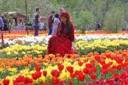 The Asara Tulip Festival was canceled due to the hijab