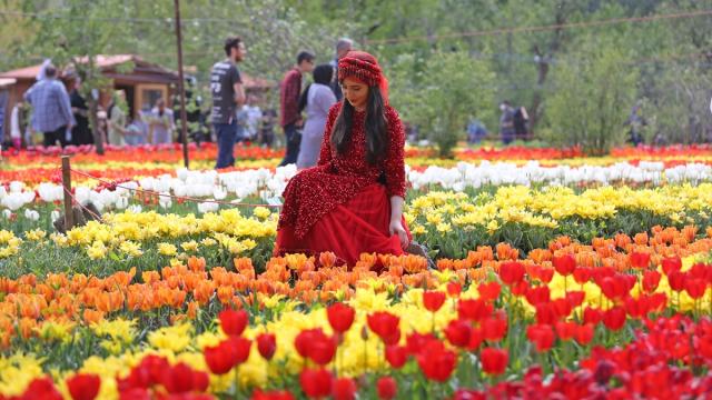The Asara Tulip Festival was canceled due to the hijab