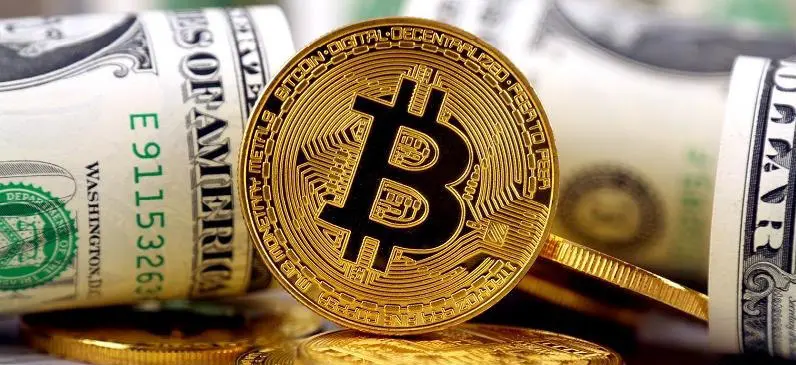 Central Bank Issued Permit for Importing Goods with Cryptocurrency
