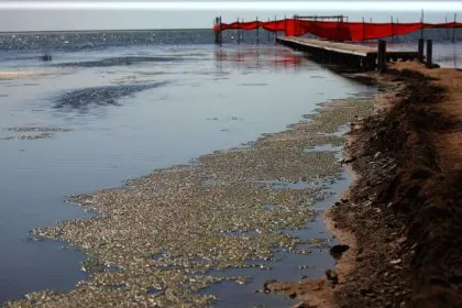 Head of Environmental Organization: Caspian Sea Water Level is Dropping