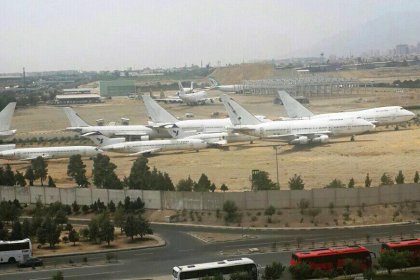 Aliabad's herd from the airplane graveyard in Mehrabad