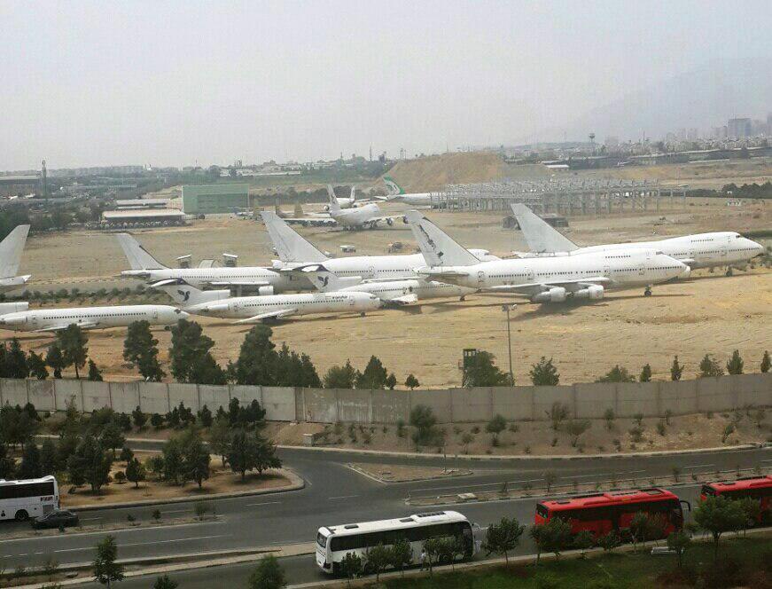 Aliabad's herd from the airplane graveyard in Mehrabad