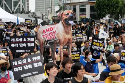 South Korea to ban consumption of dog meat by the end of the year