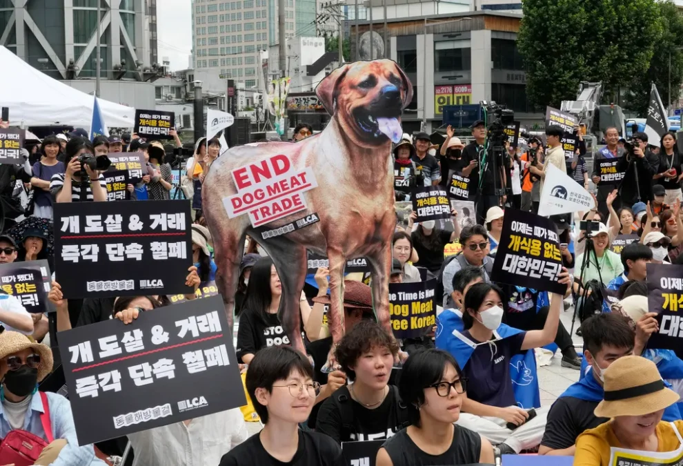 South Korea to Ban Dog Meat Consumption by End of Year