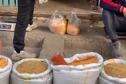 People in Gaza resort to feeding livestock due to famine