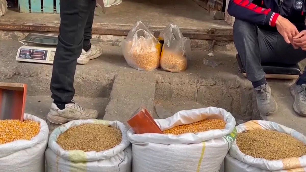 Gaza Residents Turn to Animal Feed Due to Famine