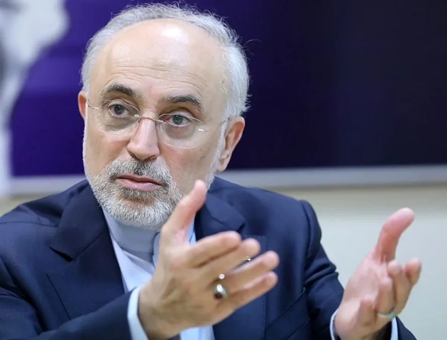 Ali Akbar Salehi should not expect Iran to send soldiers to Palestine