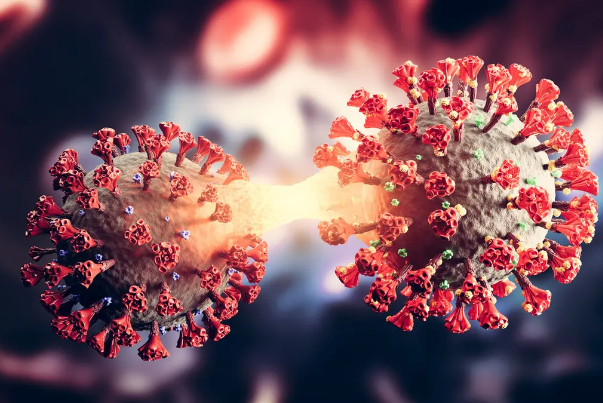 Identification of the first case of new coronavirus strain in Iran