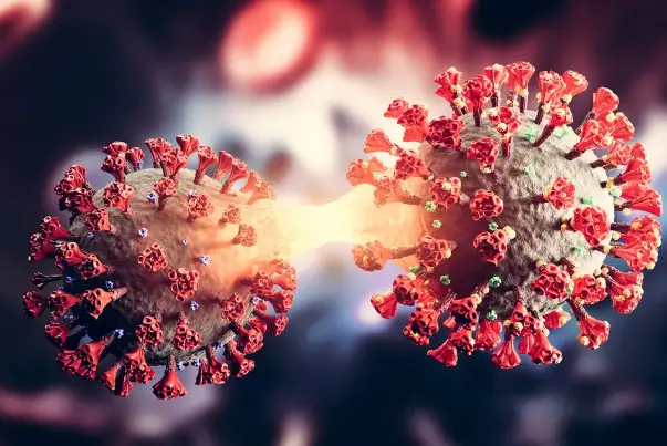 Identification of the First Case of Infection with the New Corona Variant in Iran