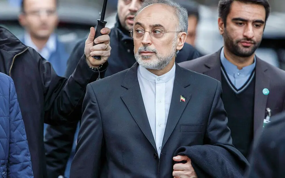 Ali Akbar Salehi Criticizes the Treatment of Dual Nationals, These Behaviors Are Not Rational