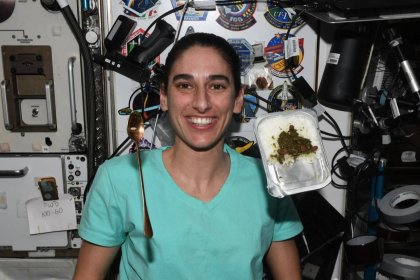 Ghormeh Sabzi Reached the Space Station