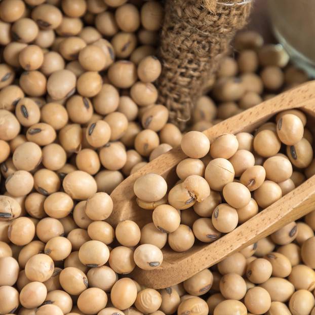 Soybeans in the Oil Barter List