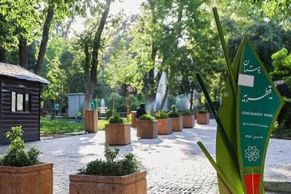 I approve of the construction of a mosque in Qeytariyeh Park by the Tehran Municipality, but no trees will be cut down.