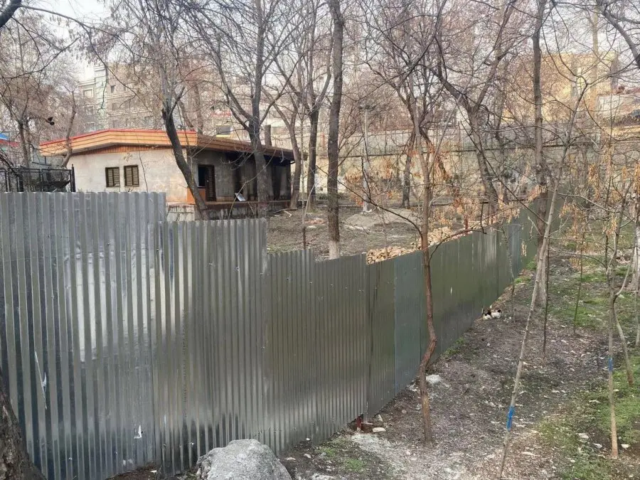 Tehran City Council Spokesperson Claims No Trees Were Cut for Qeytarieh Mosque Construction