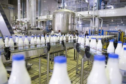 80% Decrease in the Number of Dairy Companies in Iran Over Two Decades