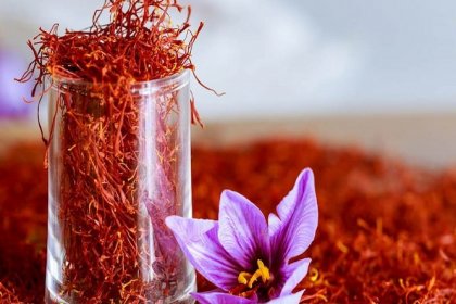 Fifth of Aban Month Named National Saffron Day