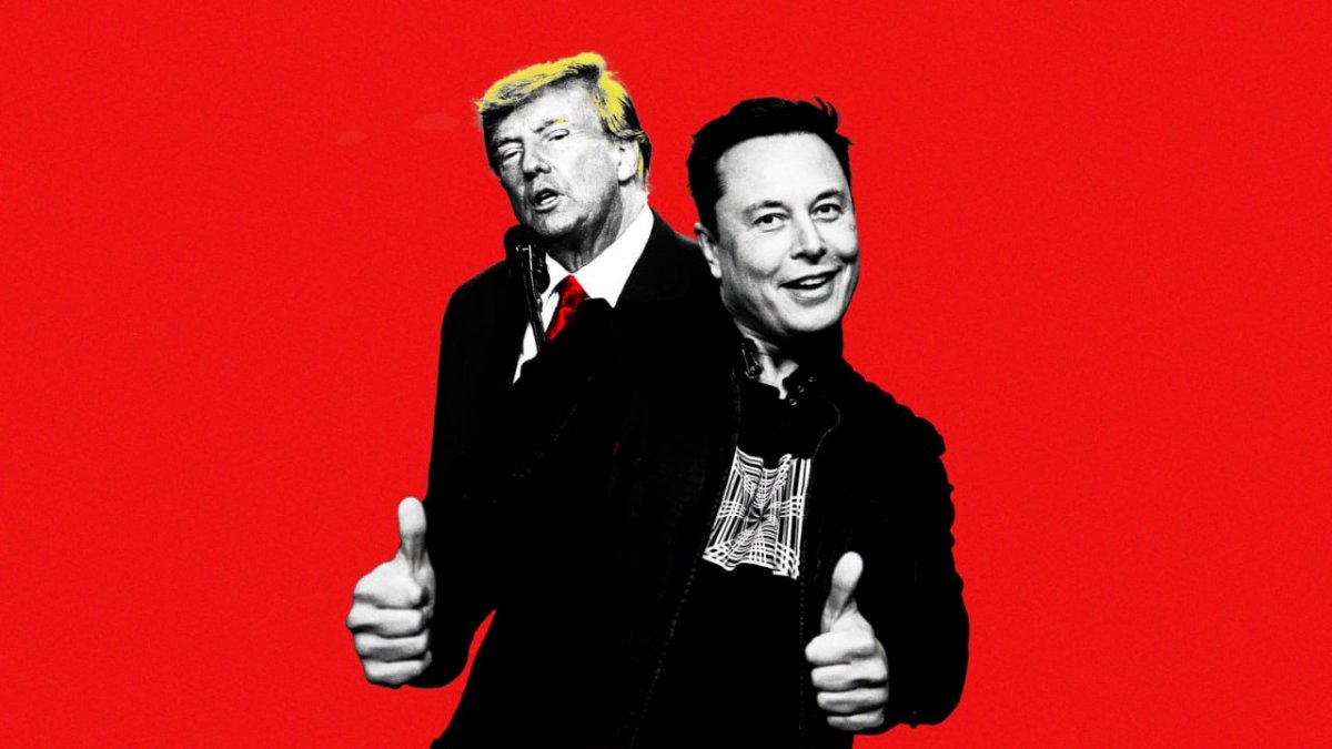 Wall Street Journal: Elon Musk Might Become Trump's Political Advisor