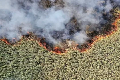 Khuzestan Environmental Protection Agency reported the spread of fire to the Iranian section of Hoor Al-Azim