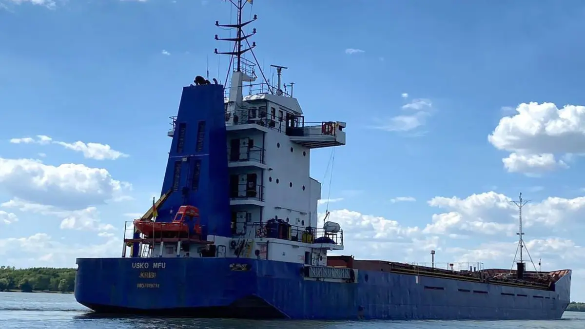 Ukrainian Seizure of Russian Grain Ship
