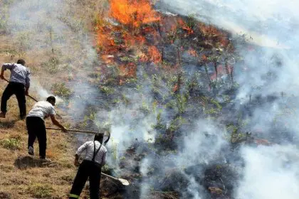 Head of Asadabad Natural Resources Department: 100 hectares of the province's rangelands destroyed in fire
