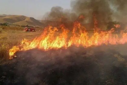 4 Hectares of Semirom Pastures Turned to Ashes by Cigarette Butt
