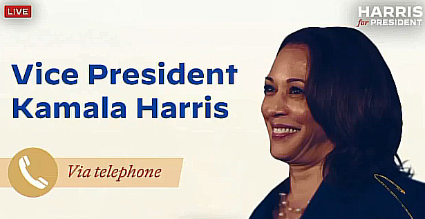 Kamala Harris Officially Nominated as Democratic Candidate for 2024 Election