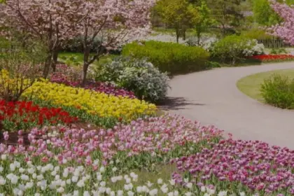 Softly, spring arrives now