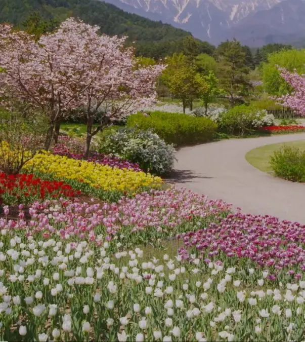 Softly, spring arrives now