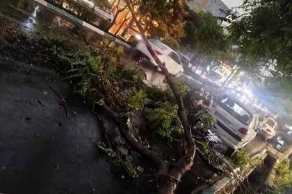 Tehran Emergency: 6 Injured in Tehran Due to Storm