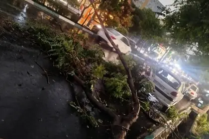 Tehran Emergency: 6 Injured in Tehran Due to Storm